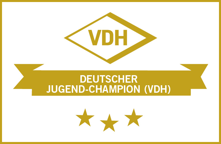 Deutscher Jugend-Champion (VDH)