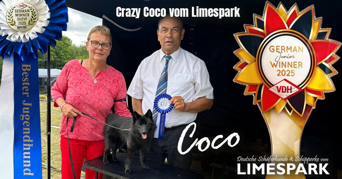 Coco: German Junior winner Coco: German Junior winner