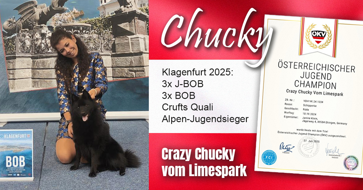 Chucky: Erfolge in Austria Chucky: Erfolge in Austria