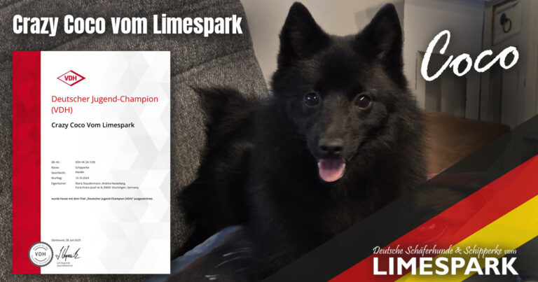 Coco VDH Jugendchampion