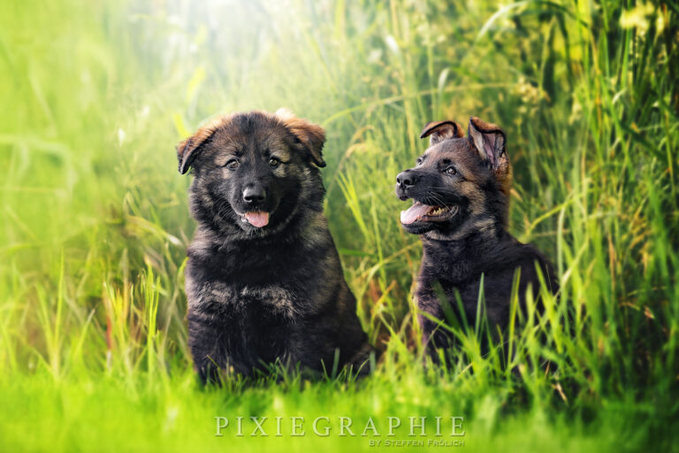 DSC05452-Bearbeitet Kopie