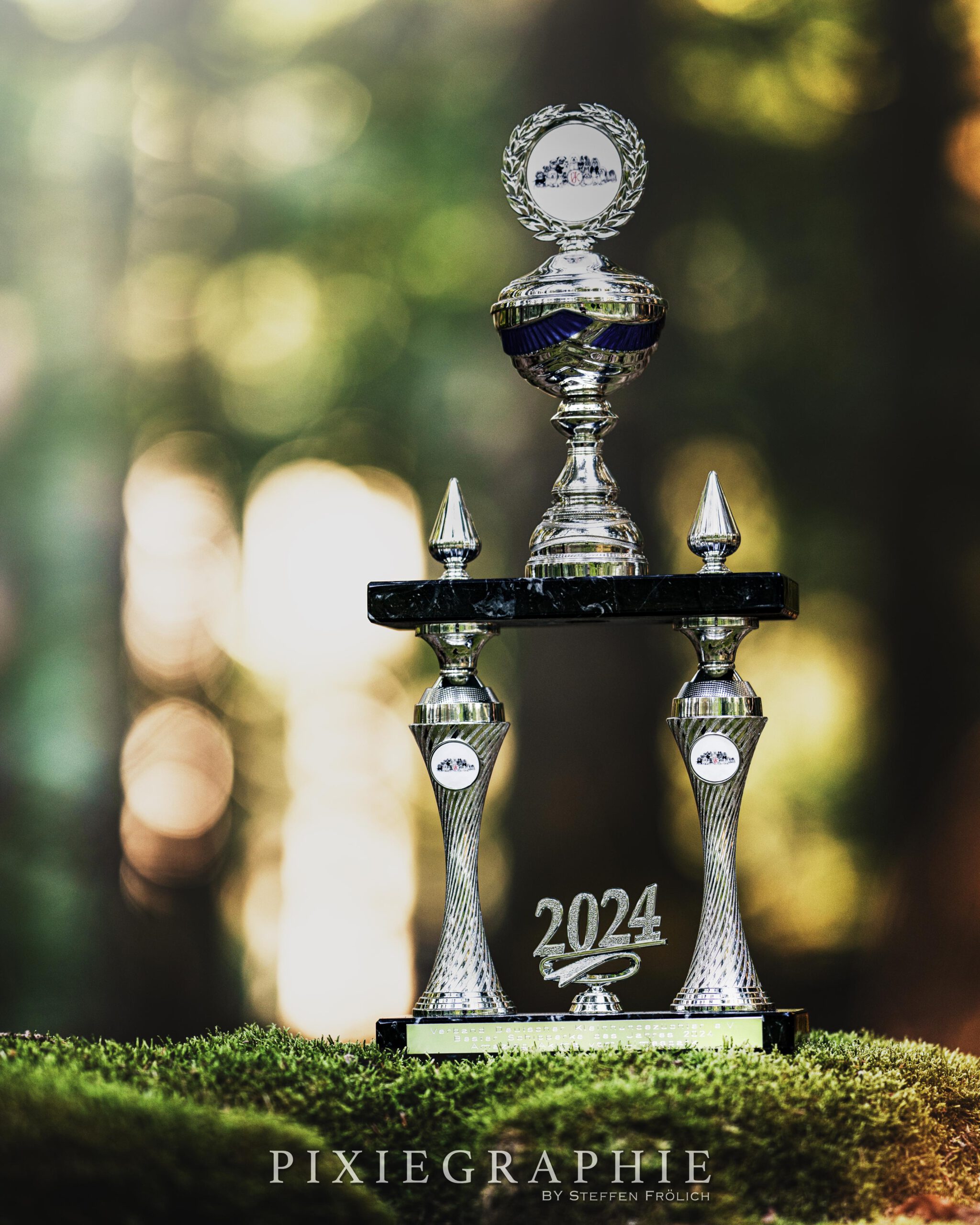 🏆 𝗦𝗰𝗵𝗶𝗽𝗽𝗲𝗿𝗸𝗲 𝗼𝗳 𝘁𝗵𝗲 𝘆𝗲𝗮𝗿 2024 🏆 🏆 𝗦𝗰𝗵𝗶𝗽𝗽𝗲𝗿𝗸𝗲 𝗼𝗳 𝘁𝗵𝗲 𝘆𝗲𝗮𝗿 2024 🏆