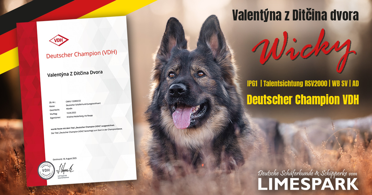 🇩🇪 𝐃𝐞𝐮𝐭𝐬𝐜𝐡𝐞𝐫 𝐂𝐡𝐚𝐦𝐩𝐢𝐨𝐧 𝐕𝐃𝐇 🇩🇪 🇩🇪 𝐃𝐞𝐮𝐭𝐬𝐜𝐡𝐞𝐫 𝐂𝐡𝐚𝐦𝐩𝐢𝐨𝐧 𝐕𝐃𝐇 🇩🇪
