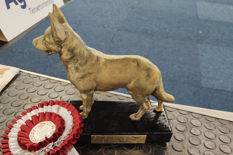 🇩🇪 𝐀𝐠𝐫𝐢𝐚 𝐓𝐫𝐨𝐩𝐡𝐲 𝐖𝐢𝐧𝐧𝐞𝐫 𝟐𝟎𝟐𝟓 DSH 🇩🇪