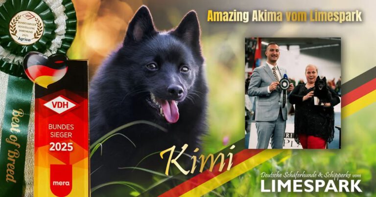 🇩🇪🏆 𝐕𝐃𝐇 𝐁𝐮𝐧𝐝𝐞𝐬𝐬𝐢𝐞𝐠𝐞𝐫 𝟐𝟎𝟐𝟓 𝗔𝗺𝗮𝘇𝗶𝗻𝗴 𝗔𝗸𝗶𝗺𝗮🏆🇩🇪