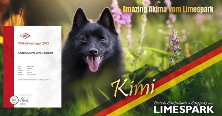 🇩🇪🏆 𝐕𝐃𝐇 𝐉𝐚𝐡𝐫𝐞𝐬𝐬𝐢𝐞𝐠𝐞𝐫 𝟐𝟎𝟐𝟓 🏆🇩🇪