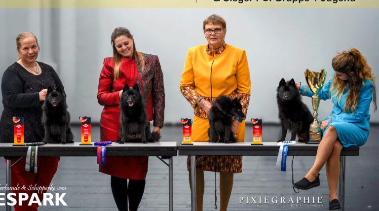 🇩🇪 𝗩𝗗𝗛 𝗕𝘂𝗻𝗱𝗲𝘀𝘀𝗶𝗲𝗴𝗲𝗿 𝟮𝟬𝟮𝟱 🇩🇪