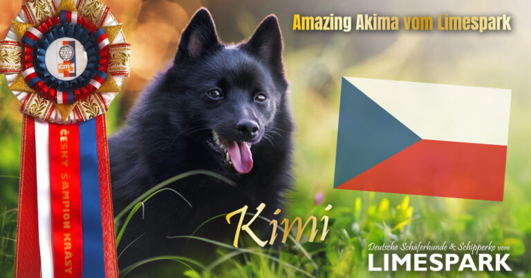 🇨🇿 Č𝐞𝐬𝐤ý š𝐚𝐦𝐩𝐢𝐨𝐧 | 𝐂𝐙 𝐂𝐡𝐚𝐦𝐩𝐢𝐨𝐧 🇨🇿