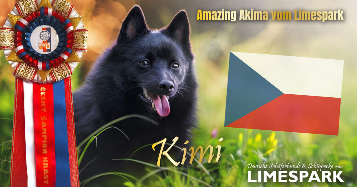 🇨🇿 Č𝐞𝐬𝐤ý š𝐚𝐦𝐩𝐢𝐨𝐧 | 𝐂𝐙 𝐂𝐡𝐚𝐦𝐩𝐢𝐨𝐧 🇨🇿