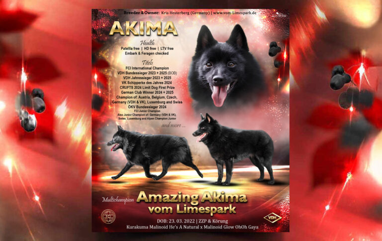 CollageAkima_Quer_Update01_2026