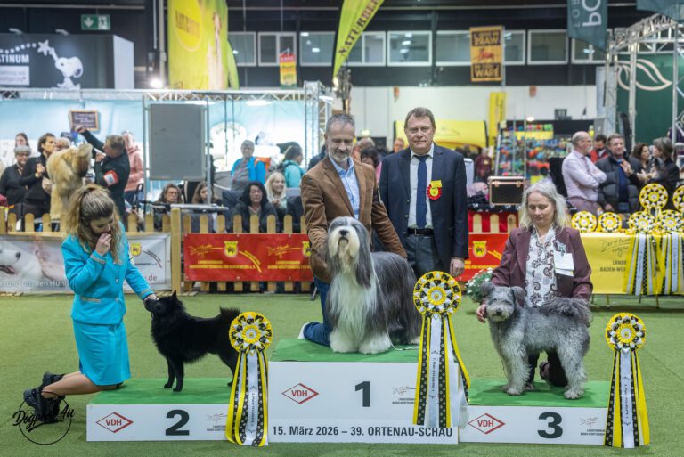 🇩🇪 2 x CACIB Offenburg 2026 🇩🇪