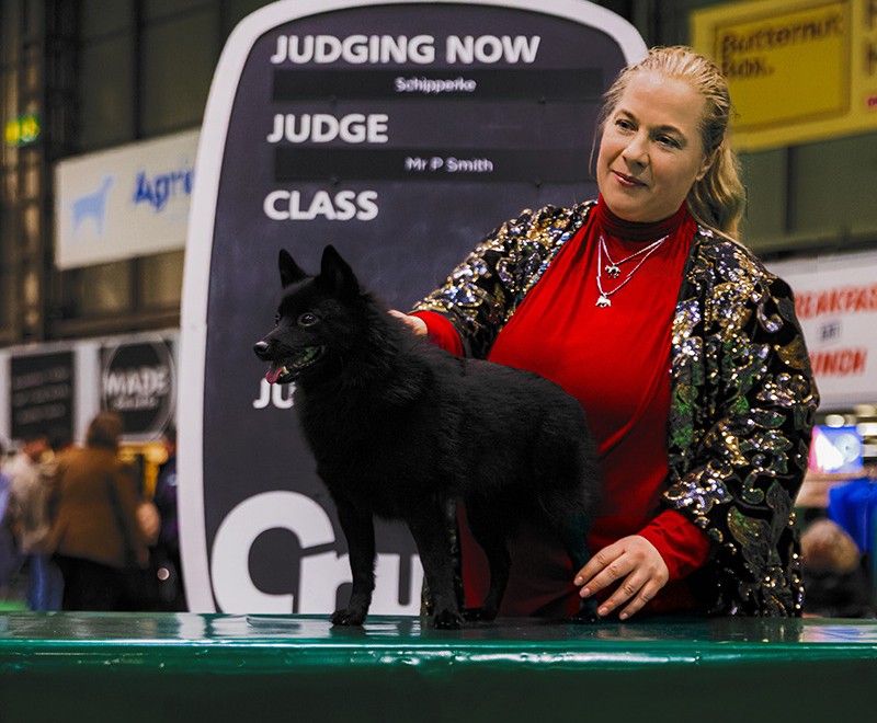 🇬🇧 CRUFTS 2026 🇬🇧