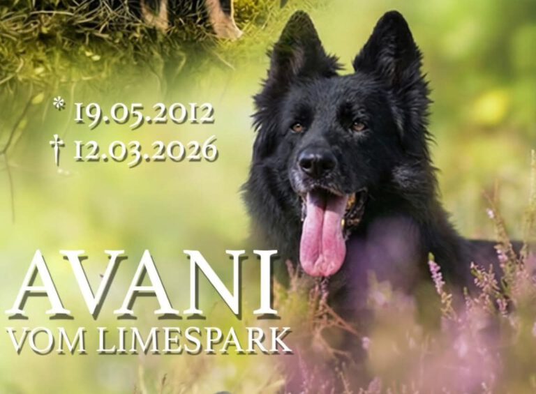 💔 𝗧𝗵𝗲 𝗾𝘂𝗲𝗲𝗻 𝗵𝗮𝘀 𝗹𝗲𝗳𝘁 𝘁𝗵𝗲 𝗯𝘂𝗶𝗹𝗱𝗶𝗻𝗴 💔