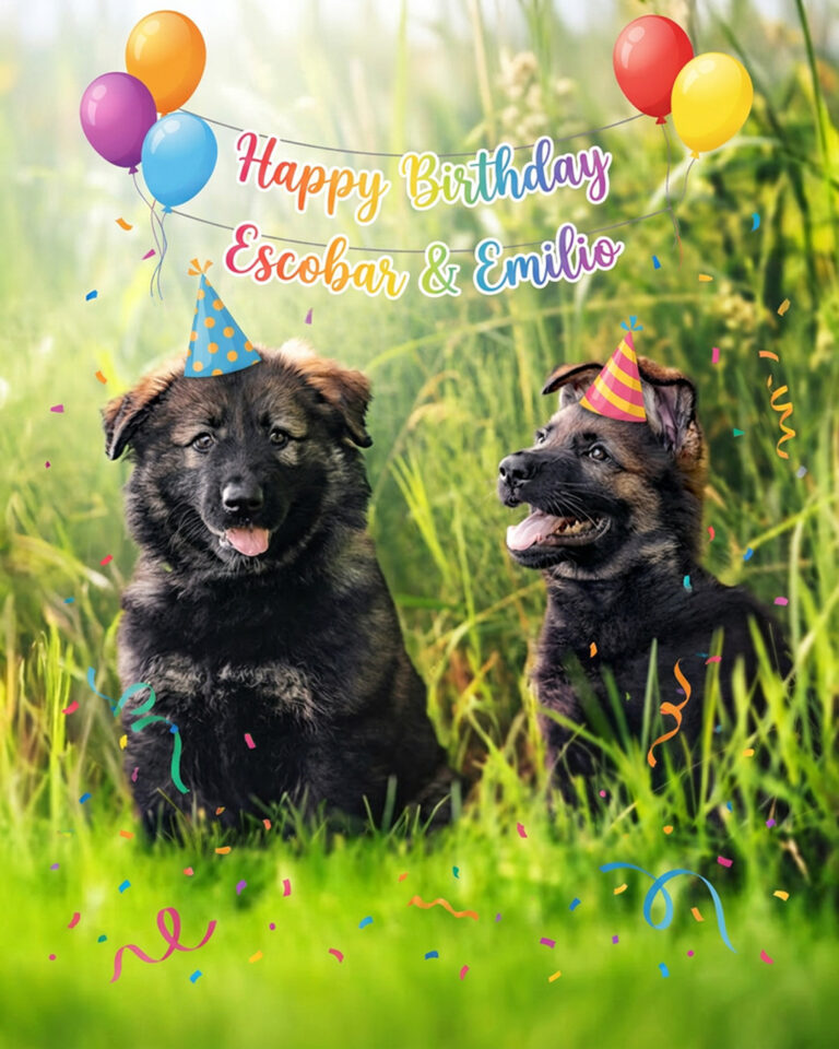 Happy Birthday Escobar & Emilio