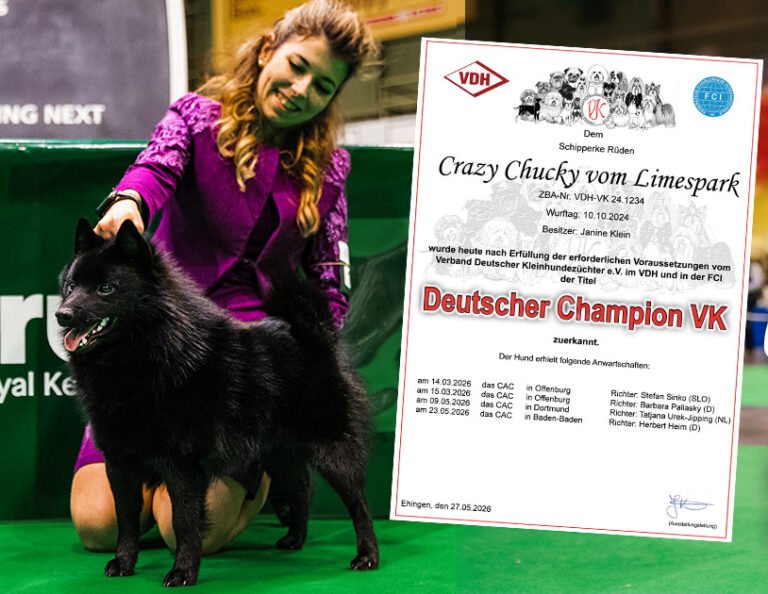 Crazy Chucky Deutscher-Champion VK!