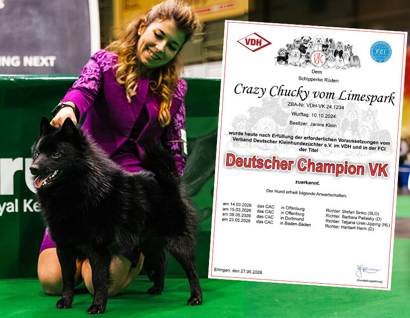 Crazy Chucky Deutscher-Champion VK! Crazy Chucky Deutscher-Champion VK!