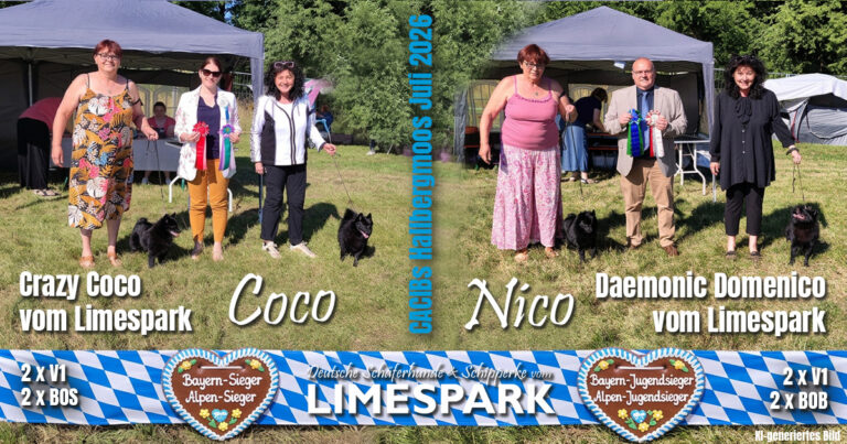 🇩🇪 2x CACIBs in Hallbergmoos Juli 2026 🇩🇪