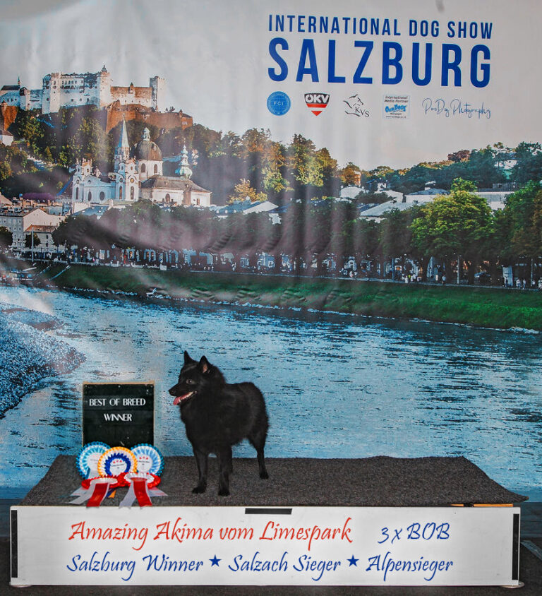🇦🇹 𝗜𝗛𝗔 𝗦𝗮𝗹𝘇𝗯𝘂𝗿𝗴 𝟮𝟬𝟮𝟲 🇦🇹