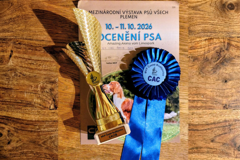 🇨🇿 CACIB České Budějovice 🇨🇿