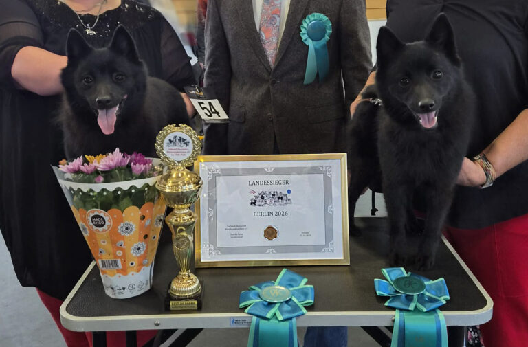 🇩🇪 𝗕𝗲𝗿𝗹𝗶𝗻, 𝗕𝗲𝗿𝗹𝗶𝗻, 𝘄𝗶𝗿 𝘄𝗮𝗿𝗲𝗻 𝗶𝗻 𝗕𝗲𝗿𝗹𝗶𝗻 … 🎶🐾🇩🇪